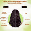 Anti Hair Fall Oil