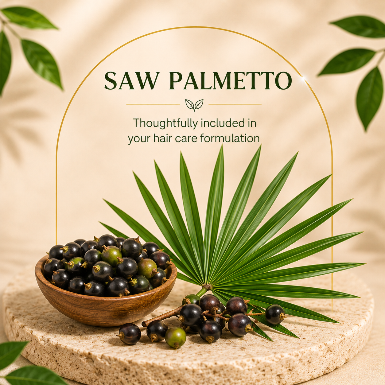 Saw Palmetto