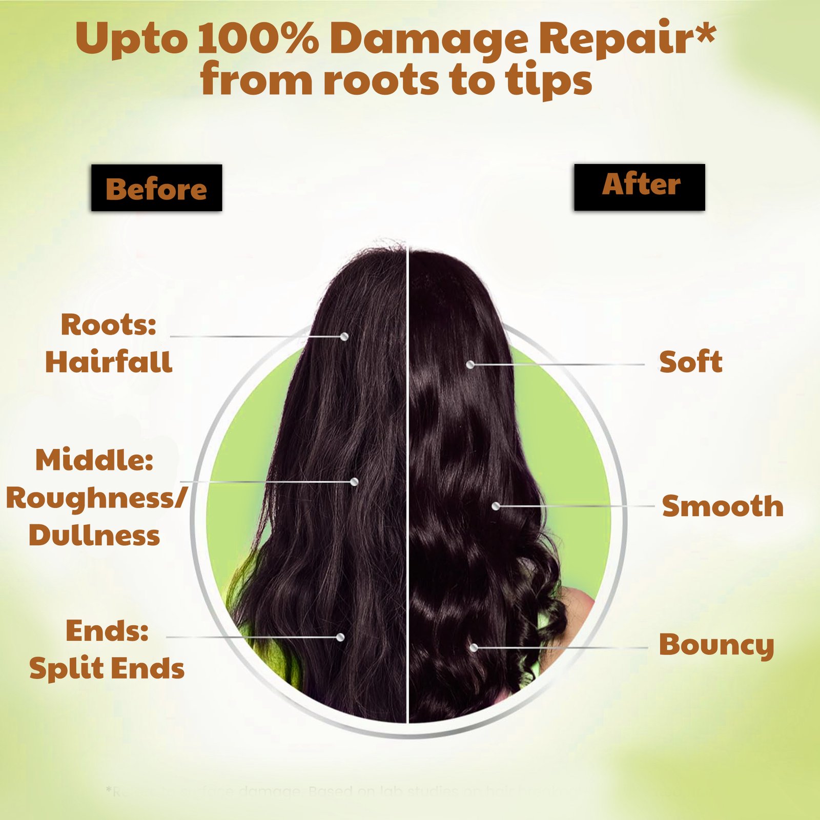 Spico Organic Anti Hair Fall Oil